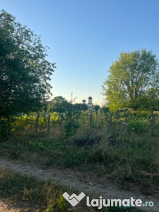 Proprietar,1000mp teren loc casă Stefanestii de Jos-Autostrada A0