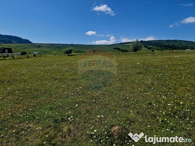 Teren 5,000mp Piatra-Neamt / Strada Punct Petruca