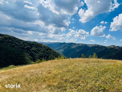 Teren 34815 Mp Si Casa De Vanzare Pe Valea Sebesului, Sugag-Dobra