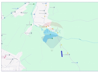Teren intravilan de vânzare,Paleu, cu panoramă asupra lacului, 3762 mp