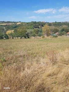 Teren intravilan de vanzare in Magurele Ilfov, 3094mp, 28EUR/mp