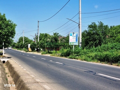 Vanzare Teren Rezidential 10000mp Cernica Tnganu