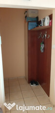 Apartament cu două camere Buziașului