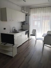 Apartament cu 2 camere, 40 mp, balcon, zona Stejarului