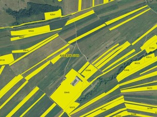 Teren extravilan de 5800 mp, sat Suceagu, 39900 Euro