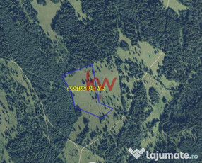 Teren Generos în Zona Montană - Șaru Dornei- Comision 0%