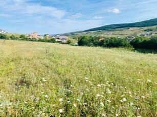 Teren parcelat, 8800 mp, 12 parcele, Chinteni